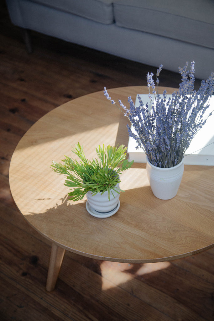 Elo Coffee Table